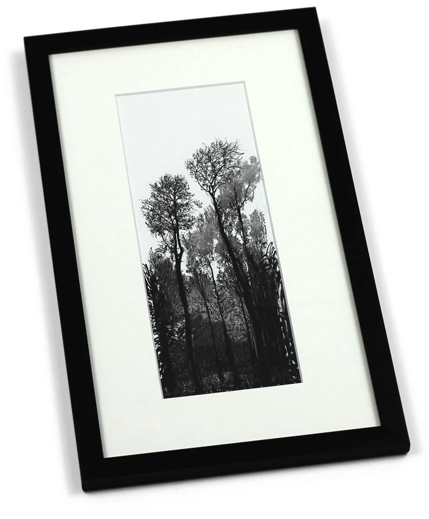 Tall Black Trees (Mini-Frame) by David Hockney - Image 2