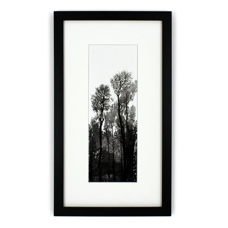 Tall Black Trees (Mini-Frame) by David Hockney - Image 3