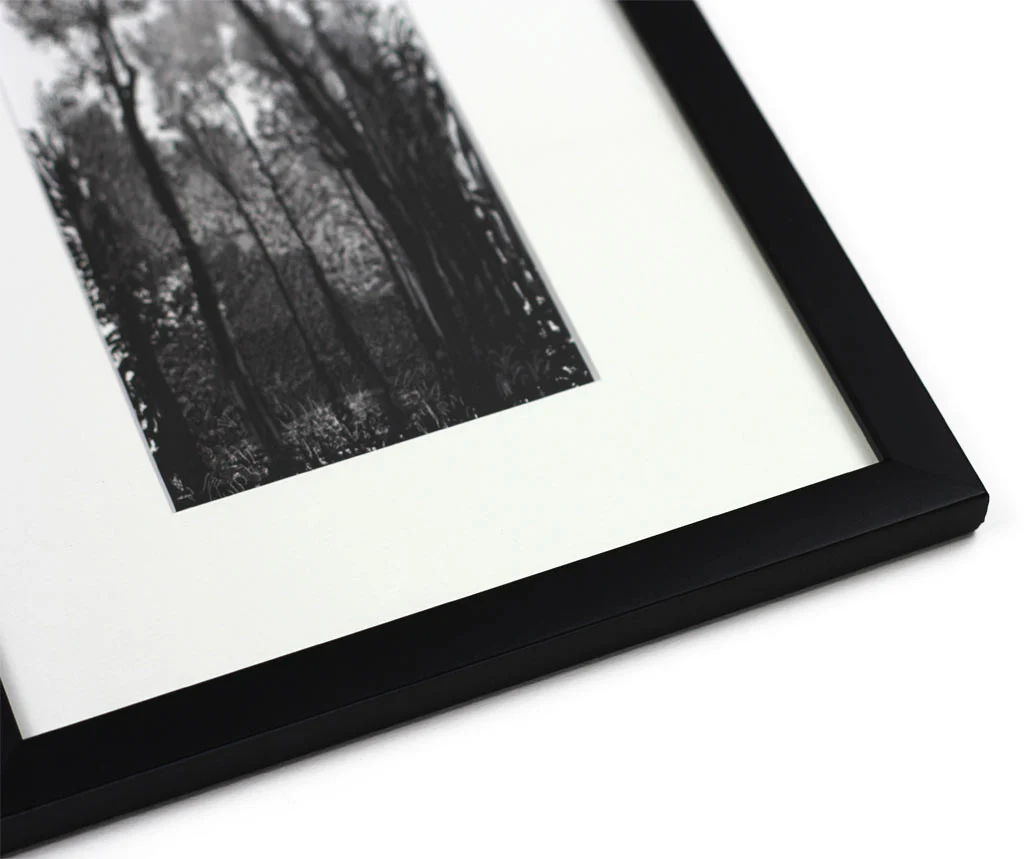 Tall Black Trees (Mini-Frame) by David Hockney - Image 4