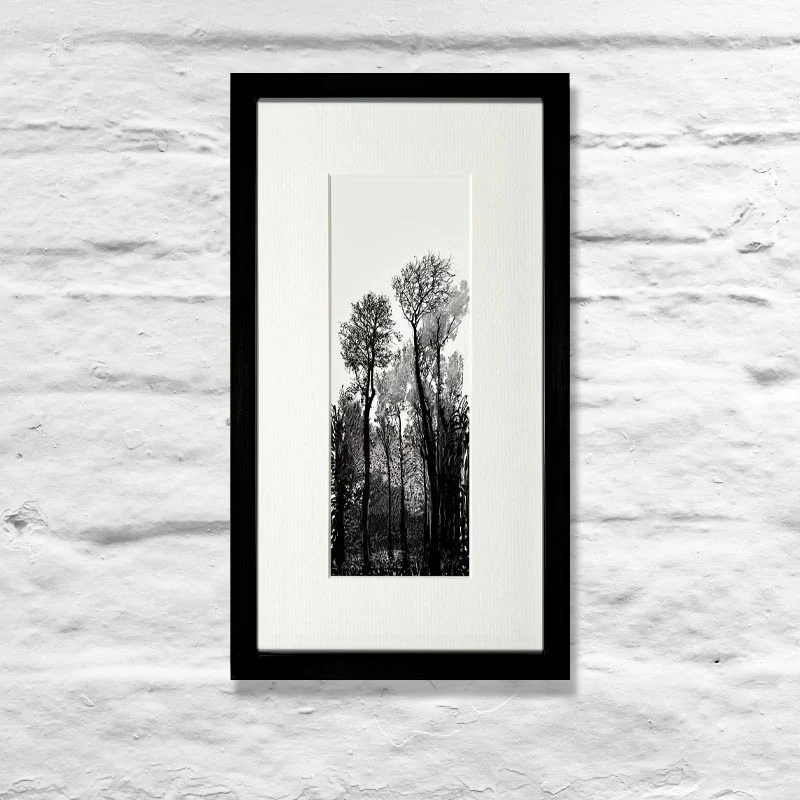 Tall Black Trees (Mini-Frame) by David Hockney - Image 5
