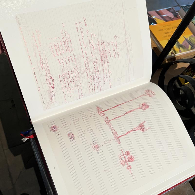 The Insomnia Drawings by Louise Bourgeois - limited special edition - Image 4