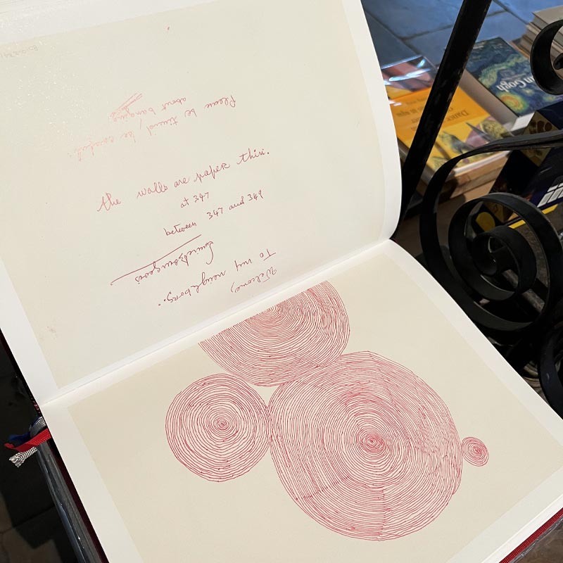The Insomnia Drawings by Louise Bourgeois - limited special edition - Image 5
