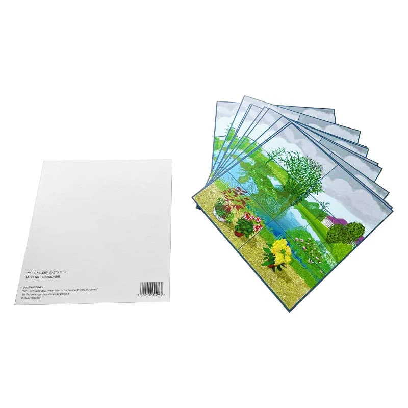 Water Lilies in the Pond with Pots of Flowers postcard by David Hockney - pack of 10 - Image 3