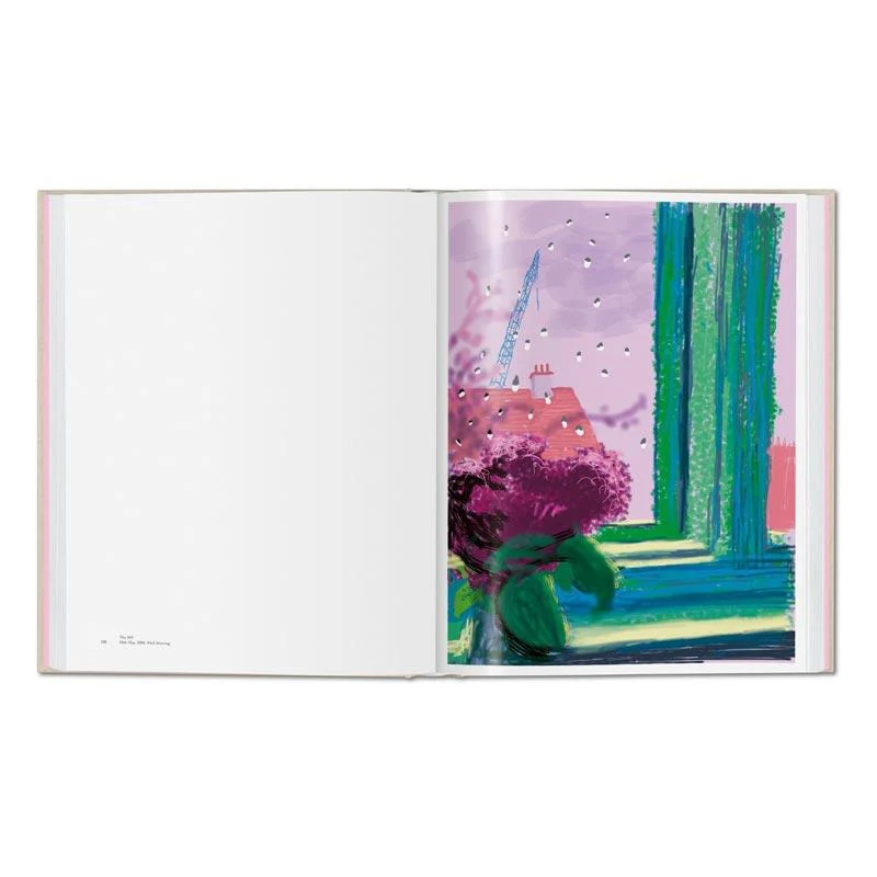 My Window - Collector's Edition: signed & numbered artist's book by David Hockney, edition of 1000 - Image 10