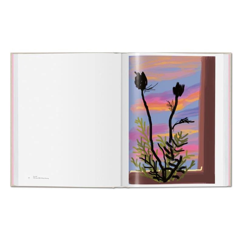 My Window - Collector's Edition: signed & numbered artist's book by David Hockney, edition of 1000 - Image 11