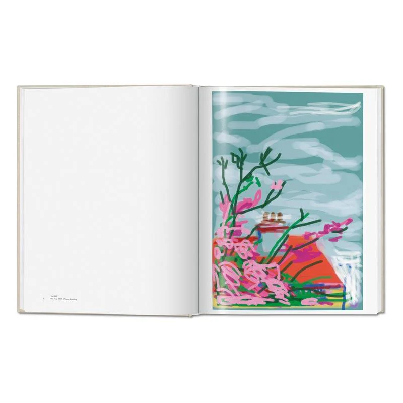 My Window - Collector's Edition: signed & numbered artist's book by David Hockney, edition of 1000 - Image 12