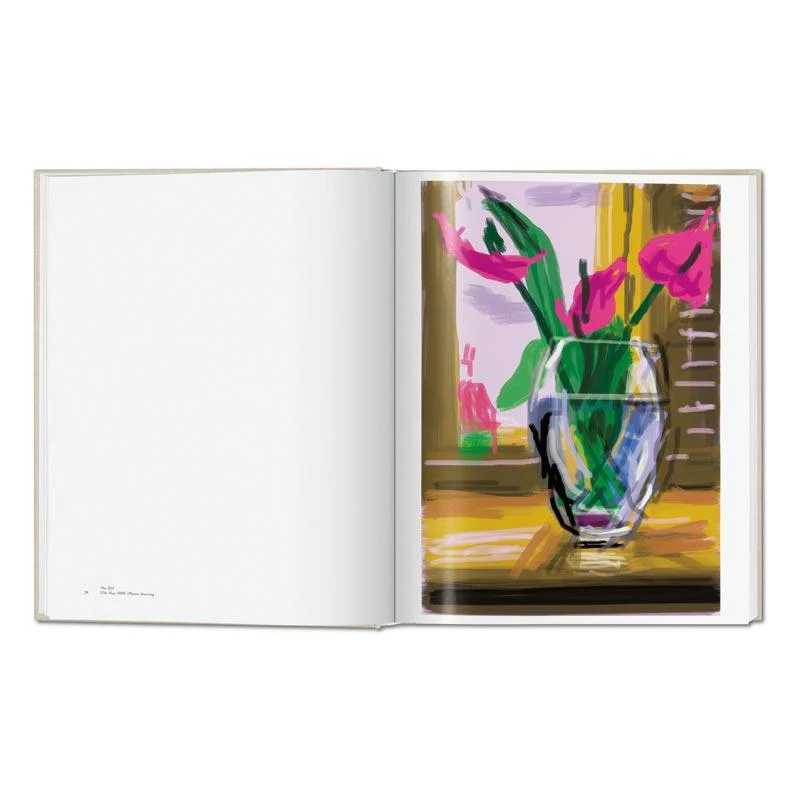 My Window - Collector's Edition: signed & numbered artist's book by David Hockney, edition of 1000 - Image 3