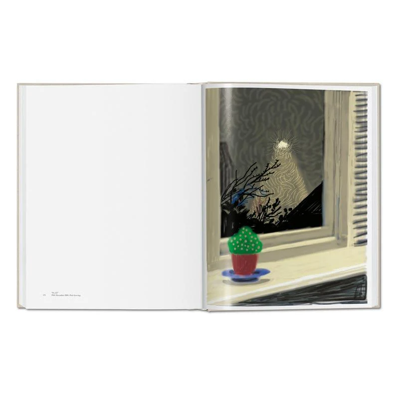 My Window - Collector's Edition: signed & numbered artist's book by David Hockney, edition of 1000 - Image 5
