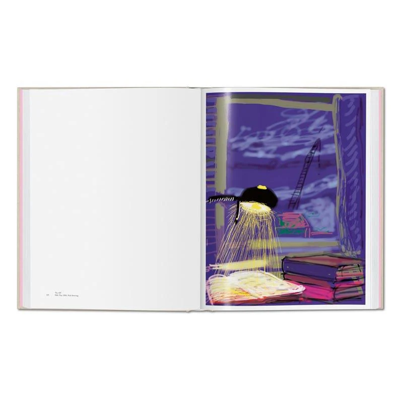 My Window - Collector's Edition: signed & numbered artist's book by David Hockney, edition of 1000 - Image 9