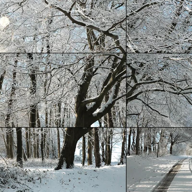 Woldgate Woods, Winter, 2010 poster by David Hockney - Image 2