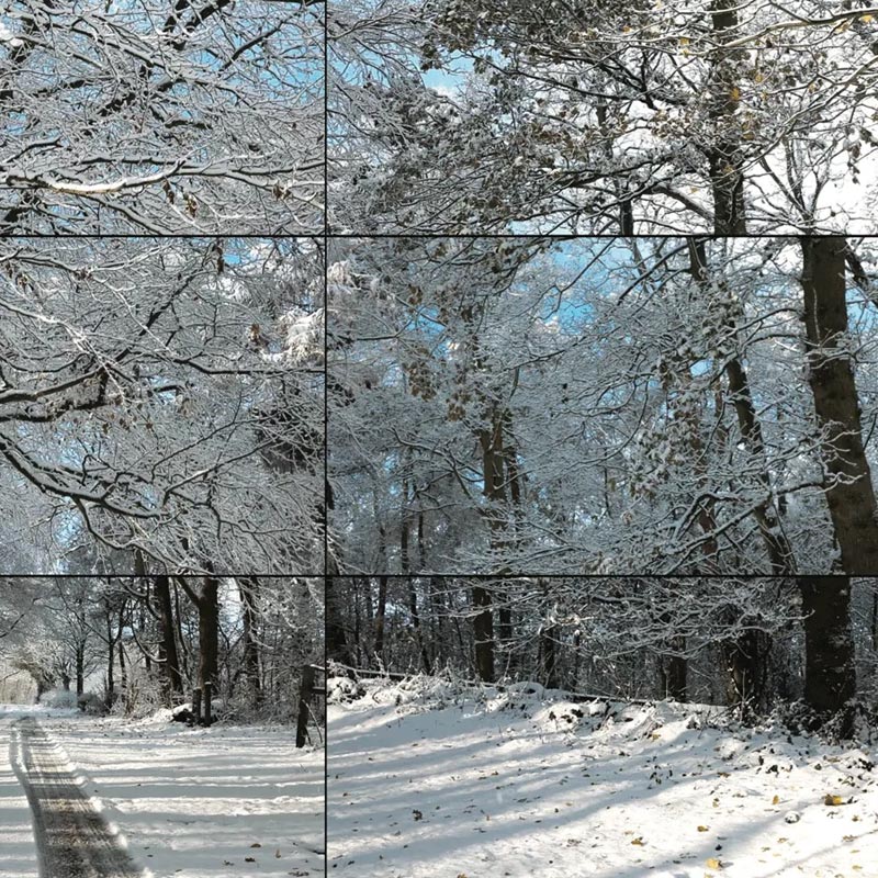 Woldgate Woods, Winter, 2010 poster by David Hockney - Image 3